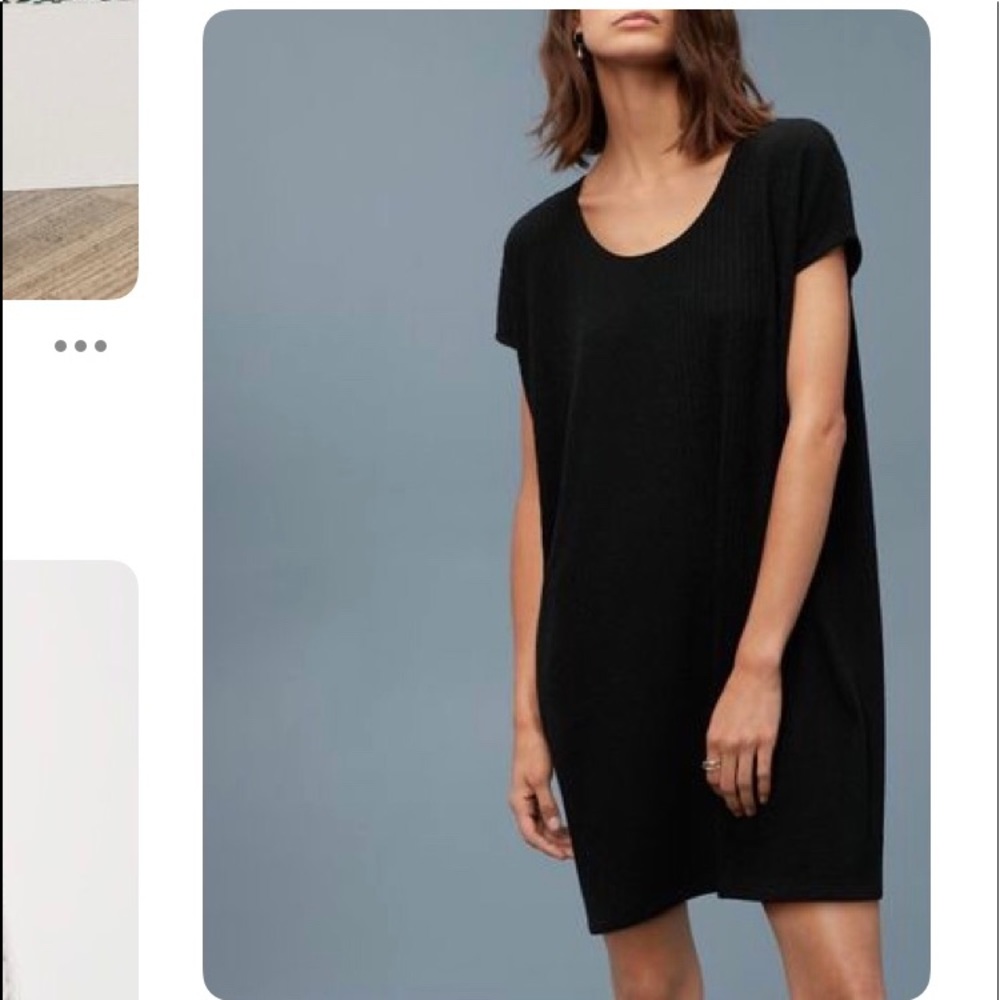 Aritzia Lorelei Dress